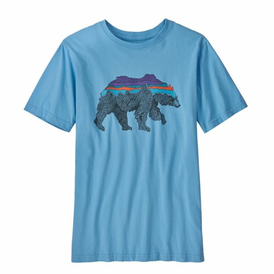 Apparel * | Patagonia Regen Organic Cotton Graphic Short Sleeve Tee Boys'